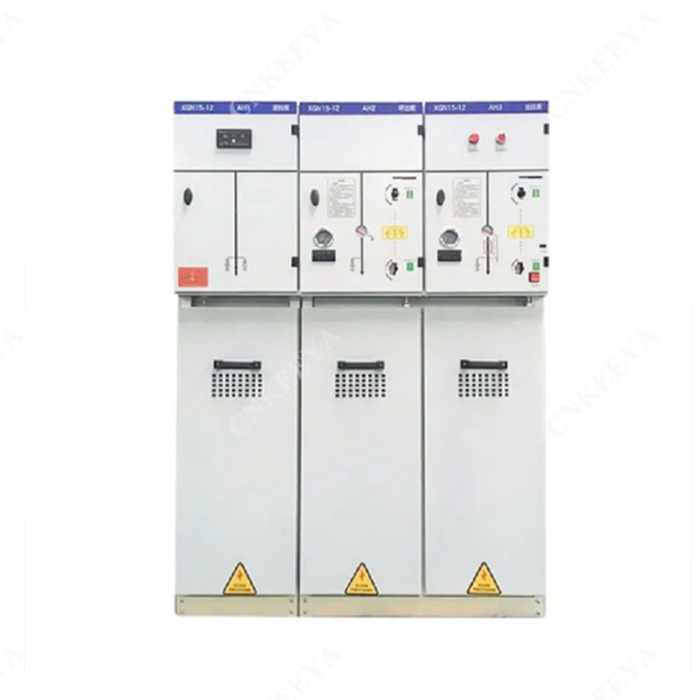 Jednostka główna pierścienia